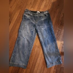 Lane Bryant Distressed Wide Leg - Jeans